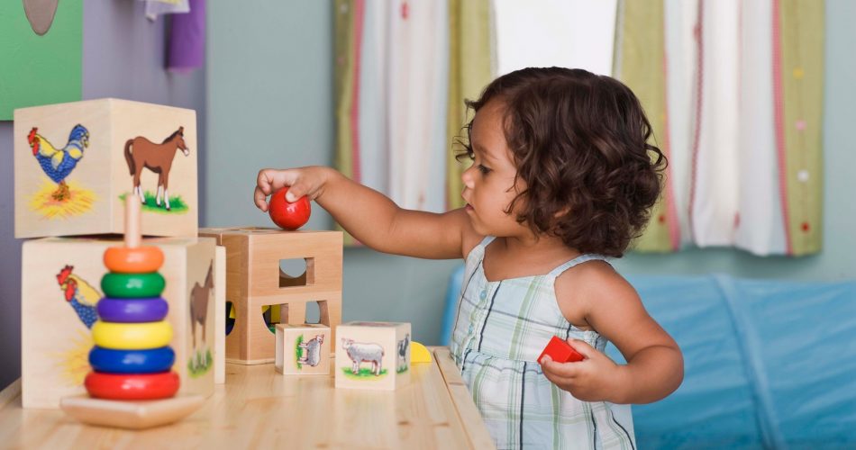Assortiment de matériaux Montessori pour le développement de l'enfant